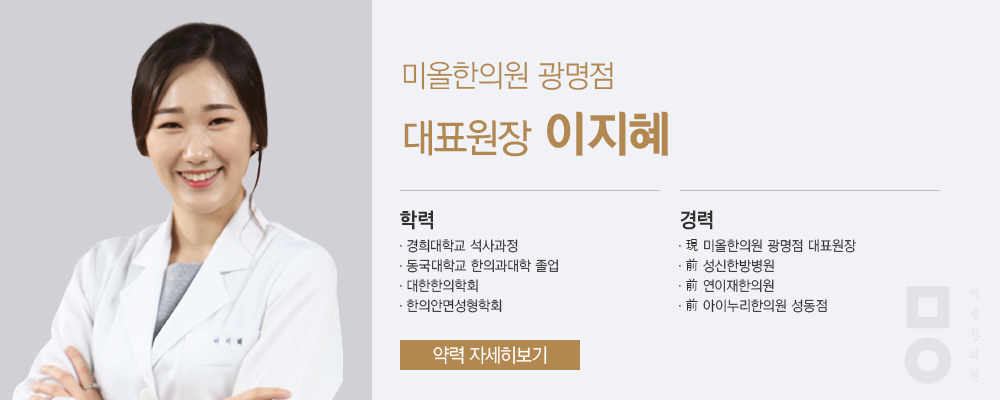 이력사진